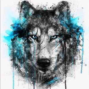 Meet your Posher, Cassie